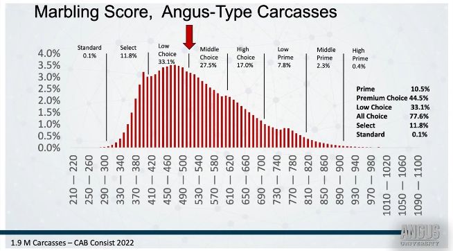 Fig. 5 – Escores de marmoreio em carcaças tipo Angus (2022)
