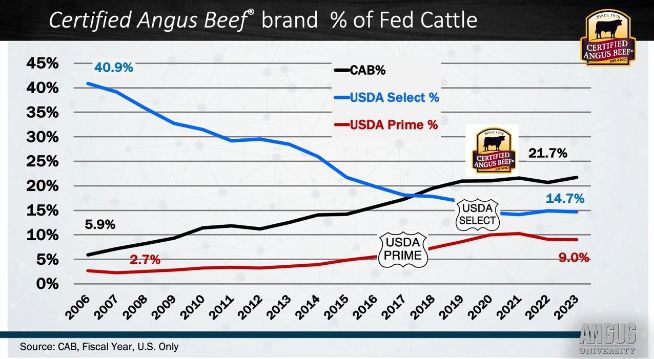 Fig. 4 – Participação da Carne Angus Certificada no abate