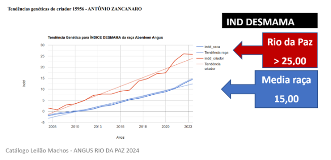 Gráfico 02