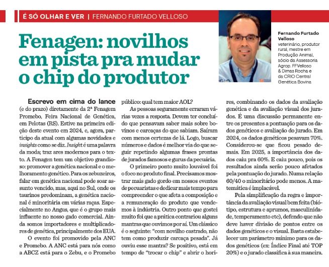 Fenagen: novilhos em pista pra mudar o chip do produtor
