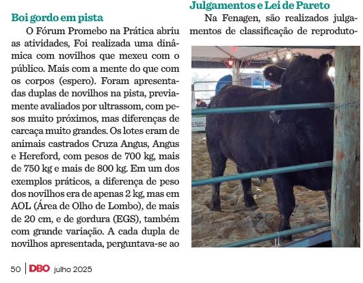 Fenagen: novilhos em pista pra mudar o chip do produtor