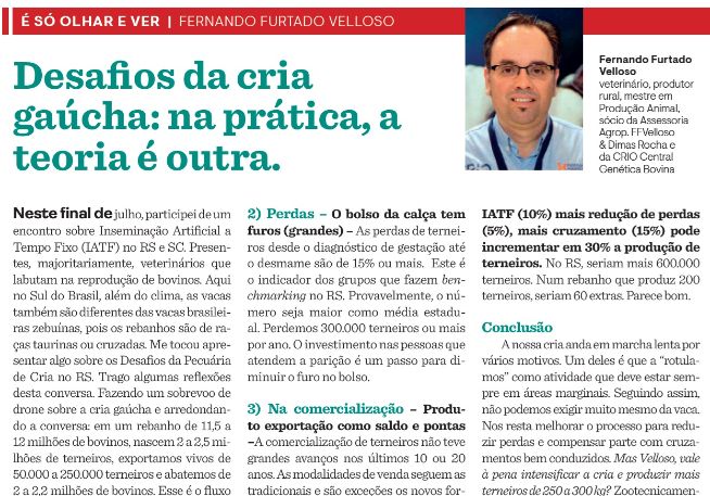 Desafios da cria gaúcha: na prática, a teoria é outra