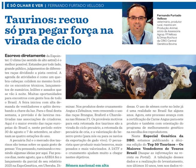 Taurinos: recuo só pra pegar força na virada de ciclo