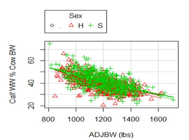 Research at Michigan State University indicates heavier weight cows (at a constant Body Condition Score), wean a lower percentage of their body weight.(OSU Cow-Calf Corner)